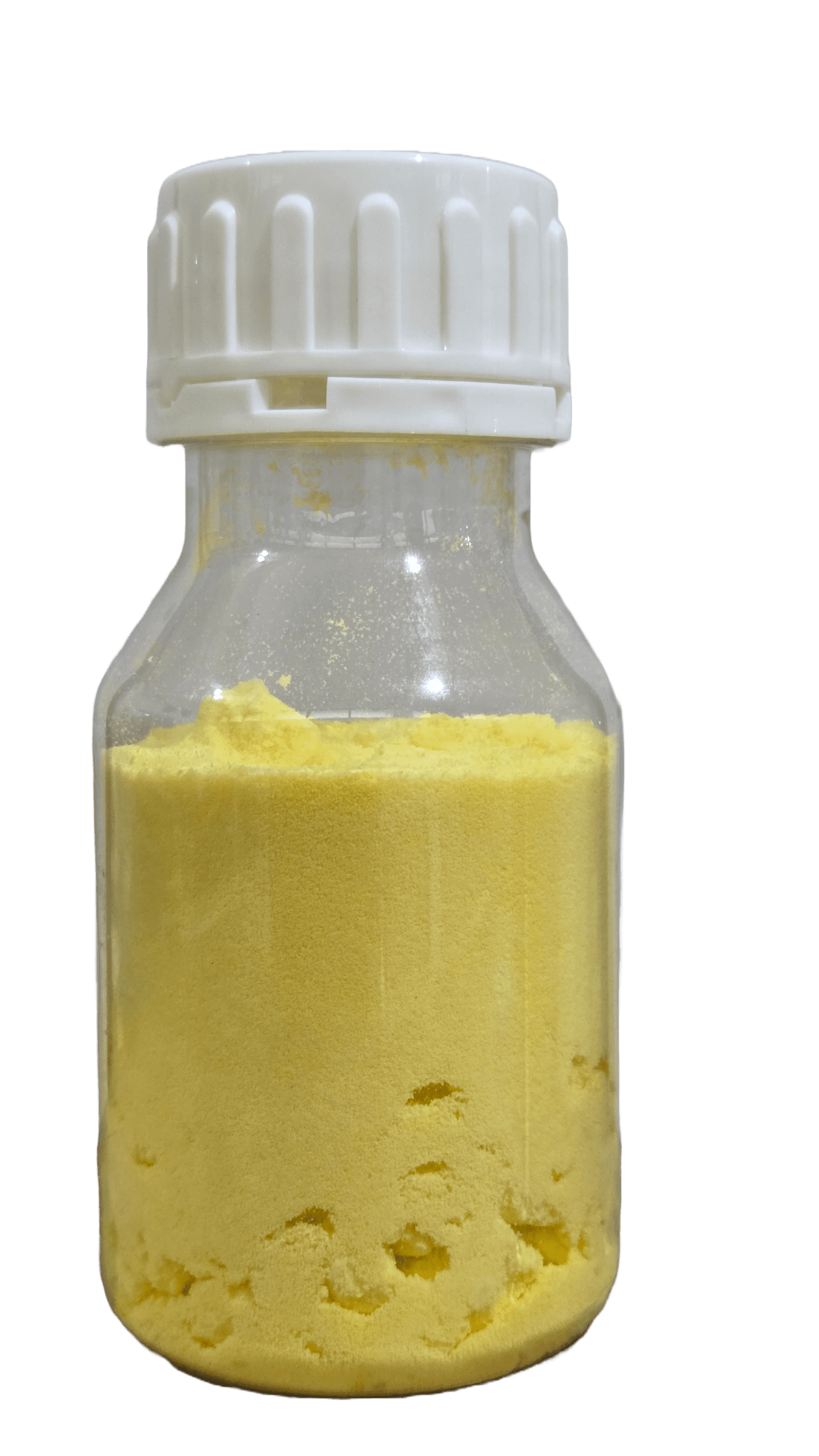 INDOCAM-295 - Image 3